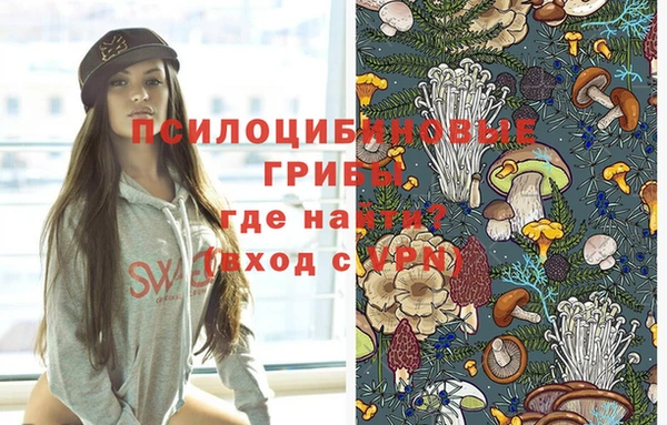 ALPHA PVP Покров