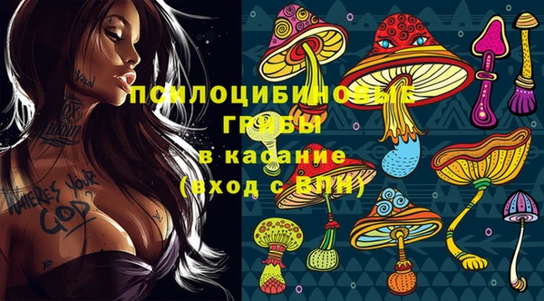 сатива Алексин